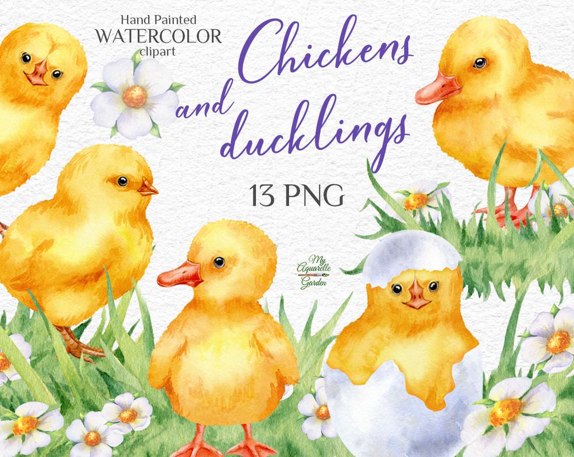 chikens-ducklings-watercolor-hand-painted-printable-clipart-myaquarellegrden