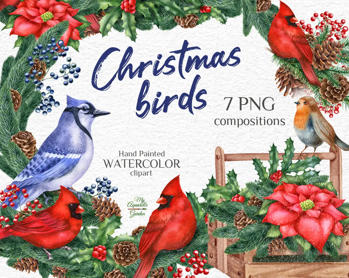 Christmas birds and decoration. Blue jay, red cardinal, robin. Xmas pine garlands. Watercolor hand-painted clipart.
