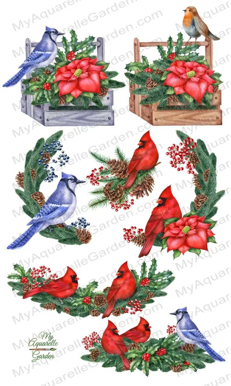 Christmas birds and decoration. Blue jay, red cardinal, robin. Xmas pine garlands
