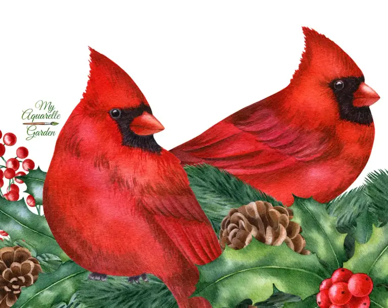 Christmas birds and decoration. Red cardinals. Xmas pine garlands