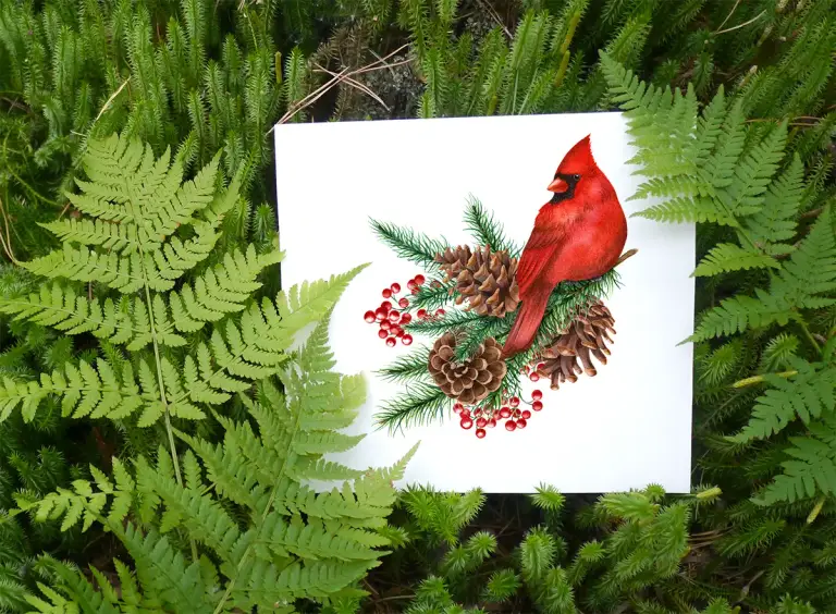 Christmas birds and decoration. Red cardinal. Xmas pine garlands