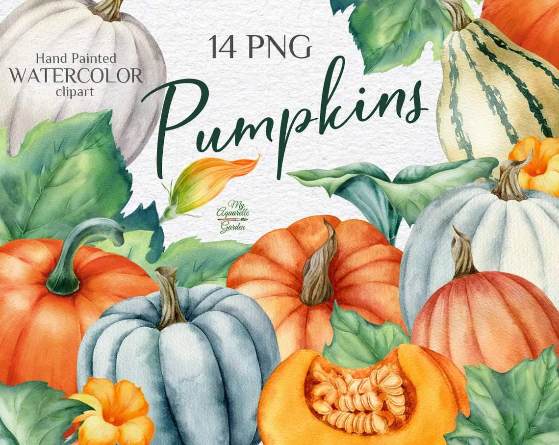 Pumpkins with leaves and flowers. Harvest. Watercolor hand-painted clipart by MyAquarelleGarden. Cover