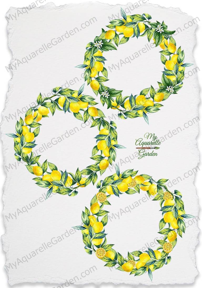 lemon-wreaths-flowers-olives-watercolor-clipart-myaquarellegarden-2
