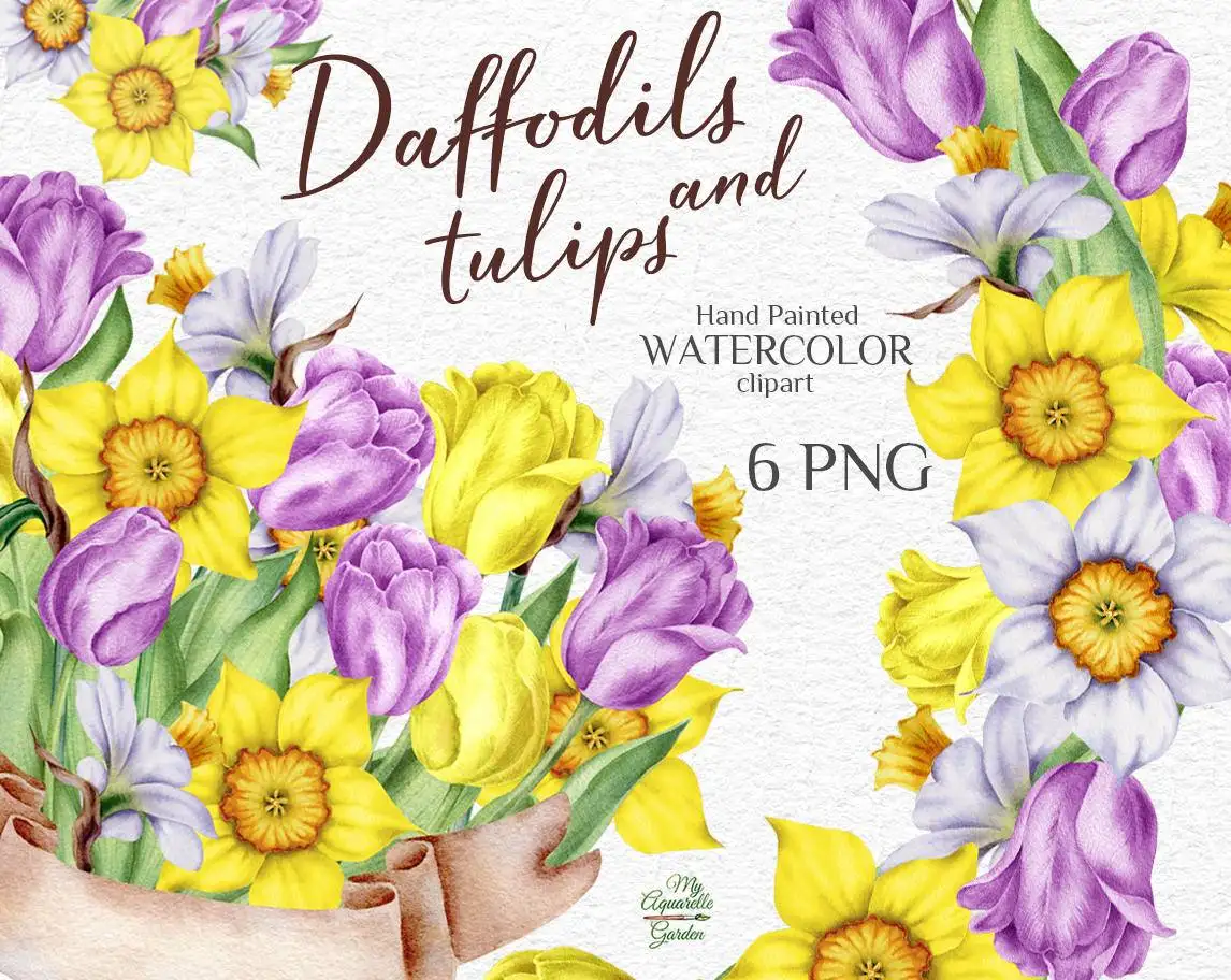 daffodils-tulips-watercolor-hand-painted-clipart-myaquarellegarden-cover