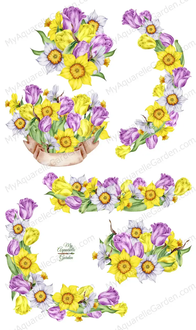 Daffodils and tulips. Watercolor hand-painted clipart by MyAquarelleGarden