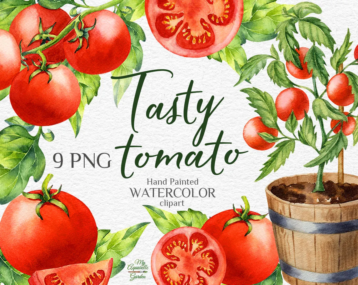 Tomatoes. Gardening. Wooden planter box. Watercolor hand-painted clipart by MyAquarelleGarden. Cover.