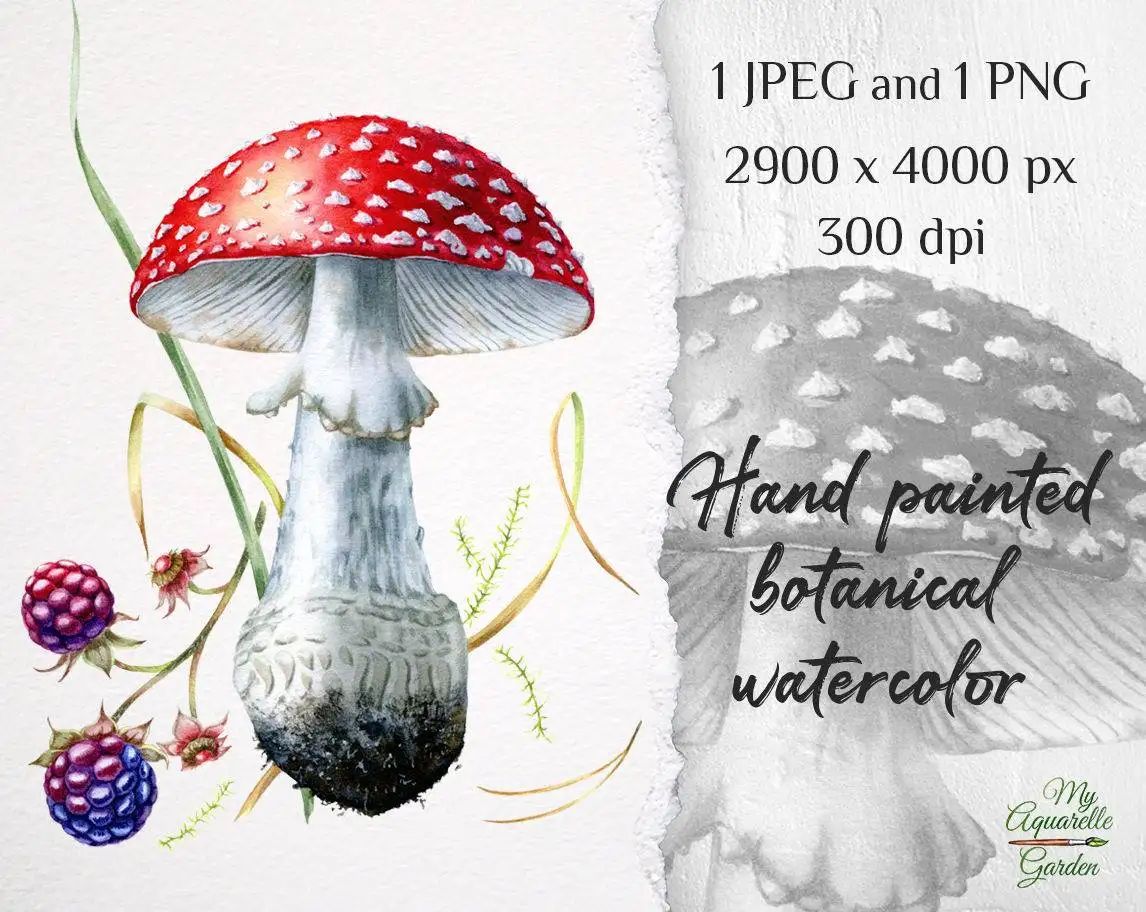 Fly agaric. Mushroom. Watercolor hand-painted clipart by MyAquarelleGarden. Cover.