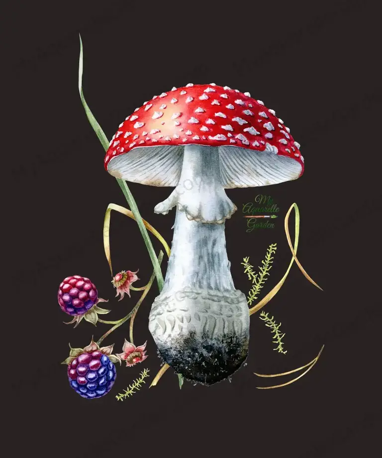 Fly agaric. Mushroom. Watercolor hand-painted clipart by MyAquarelleGarden.
