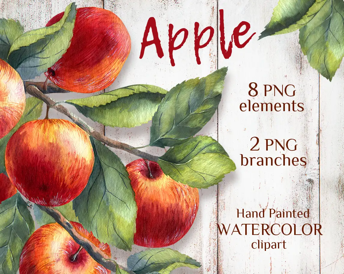 Apples. Branches with leaves. Watercolor hand-painted clipart | MyAquarelleGarden