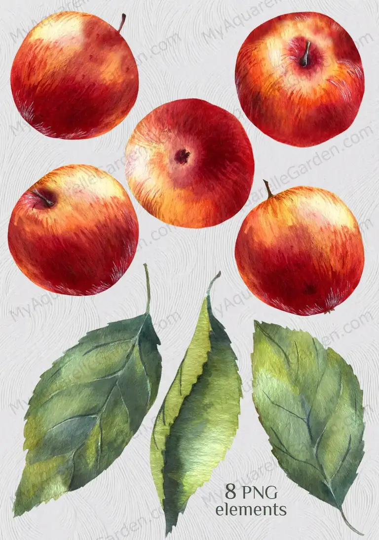 Apples. Branches with leaves. Watercolor hand-painted clipart | MyAquarelleGarden