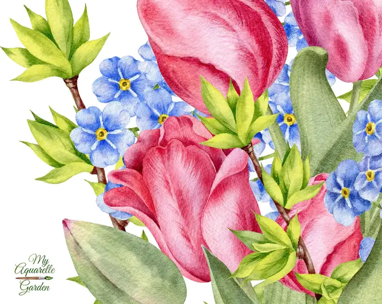 Tulips and forget-me-not. Spring flowers bouquet. Watercolor clipart.