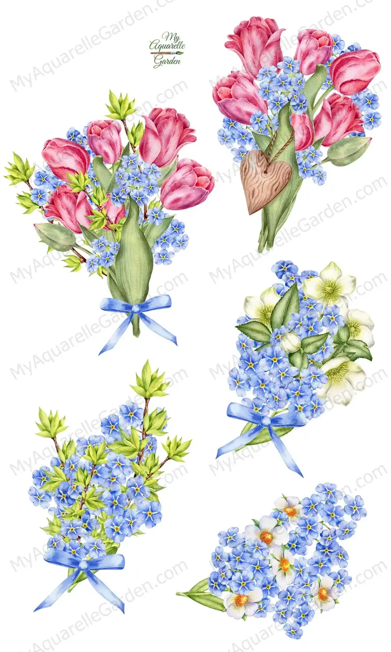 Tulips and forget-me-not. Spring flowers bouquet. Watercolor clipart.