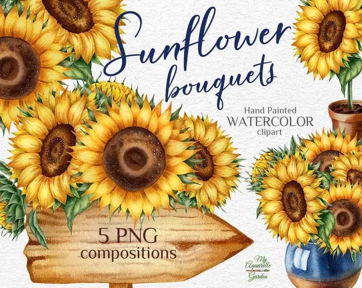 Sunflower bouquets. Clay pot and vase. Wooden road sign. Bird feathers. | MyAquarelleGarden