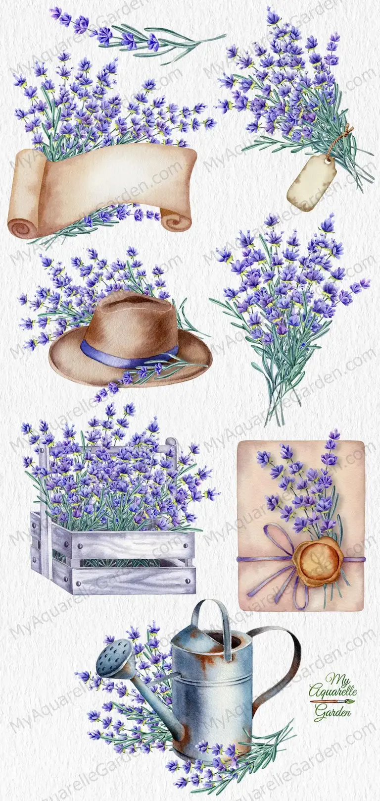 Lavender bouquets. Watering can, wooden crate, wide-brimmed hat, letter.