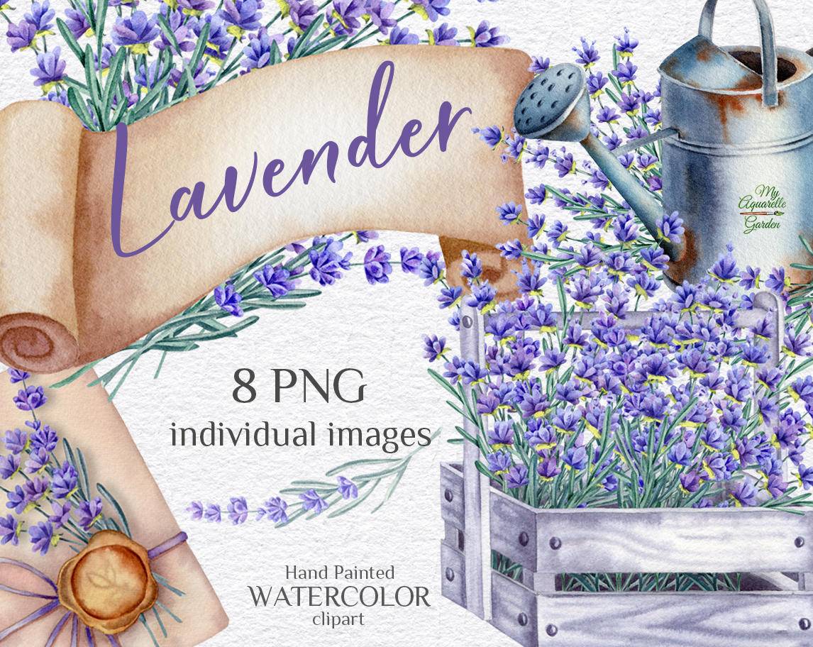 Lavender bouquets. Watering can, wooden crate, wide-brimmed hat, letter.