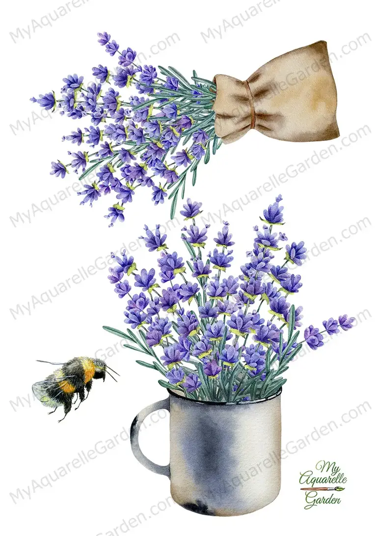 Lavender bouquets. Iron mug. Bee. Watercolor clipart by MyAquarelleGarden