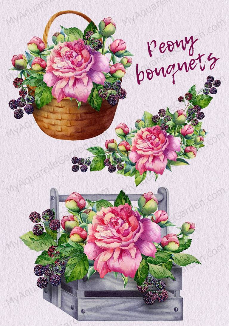 Peonies and blackberries. Bouquet and wreath. Basket. Wooden crate.