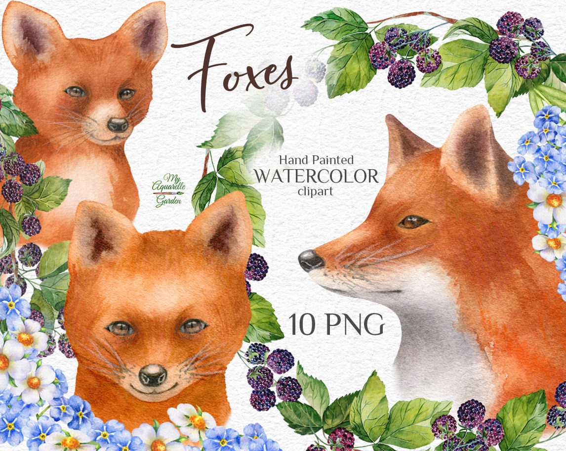 Fox and fox cub. Watercolor hand-painted clipart. Cover.