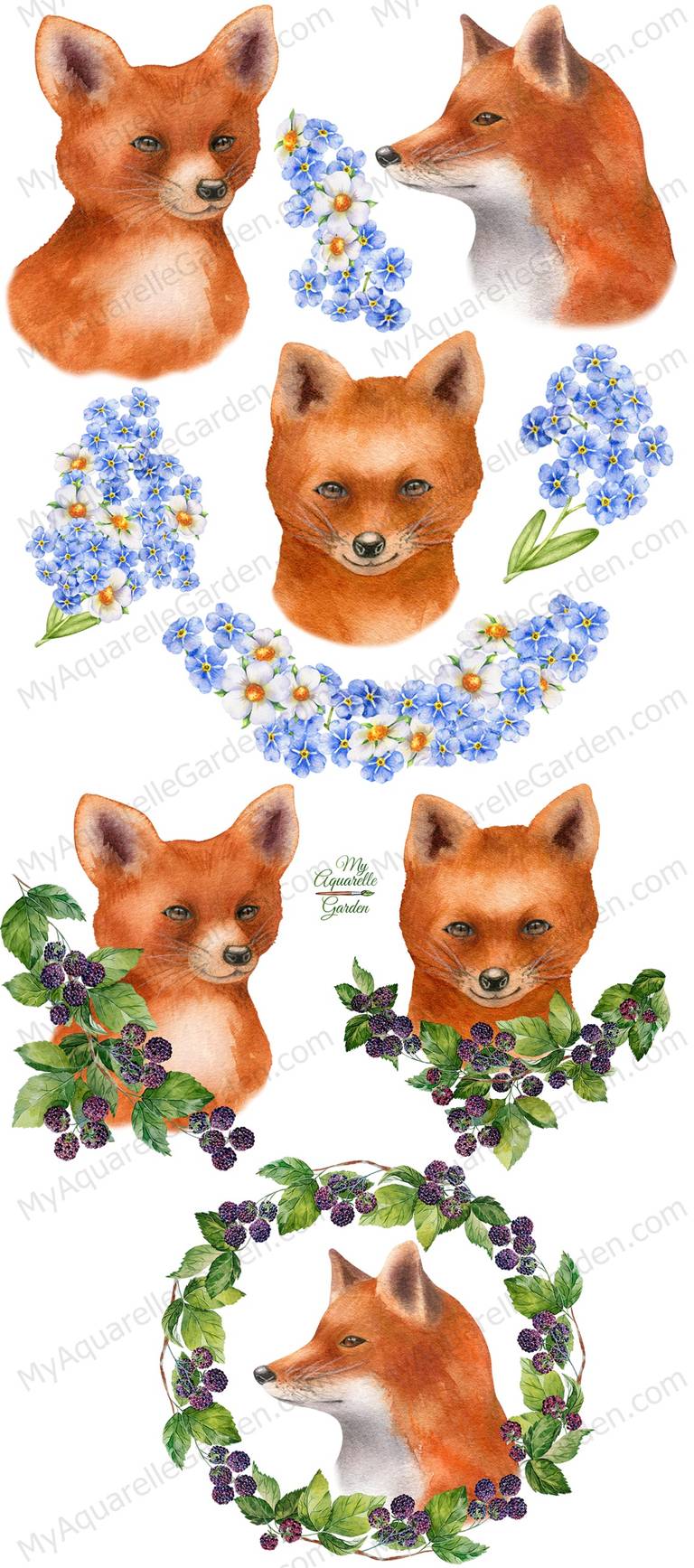 Fox and fox cub. Watercolor hand-painted clipart.