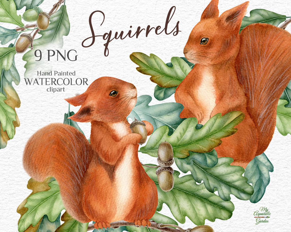Squirrels, oak twigs and acorns. Wooden heart. Watercolor hand-painted clipart. Cover.