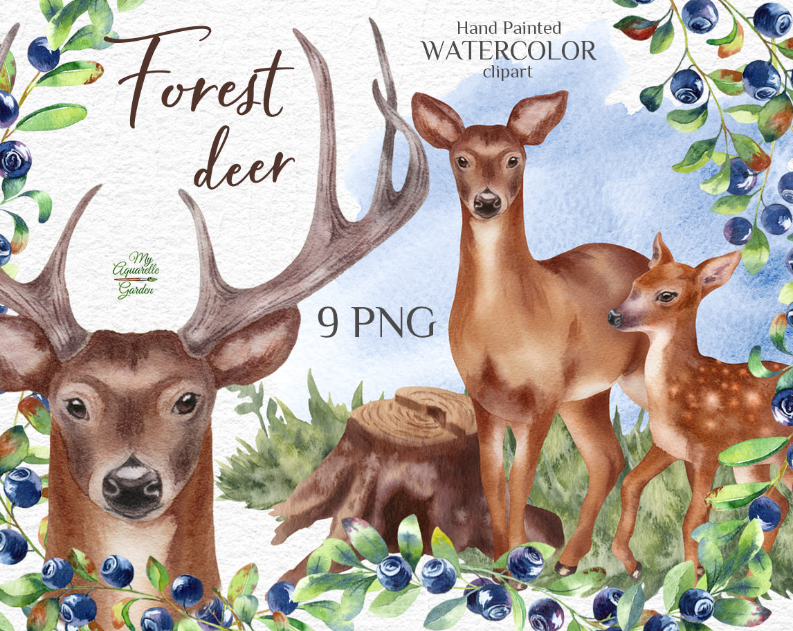 Deer, fawn, fir forest. Blackberries wreaths. Wooden heart. Watercolor hand-painted clipart. Cover.
