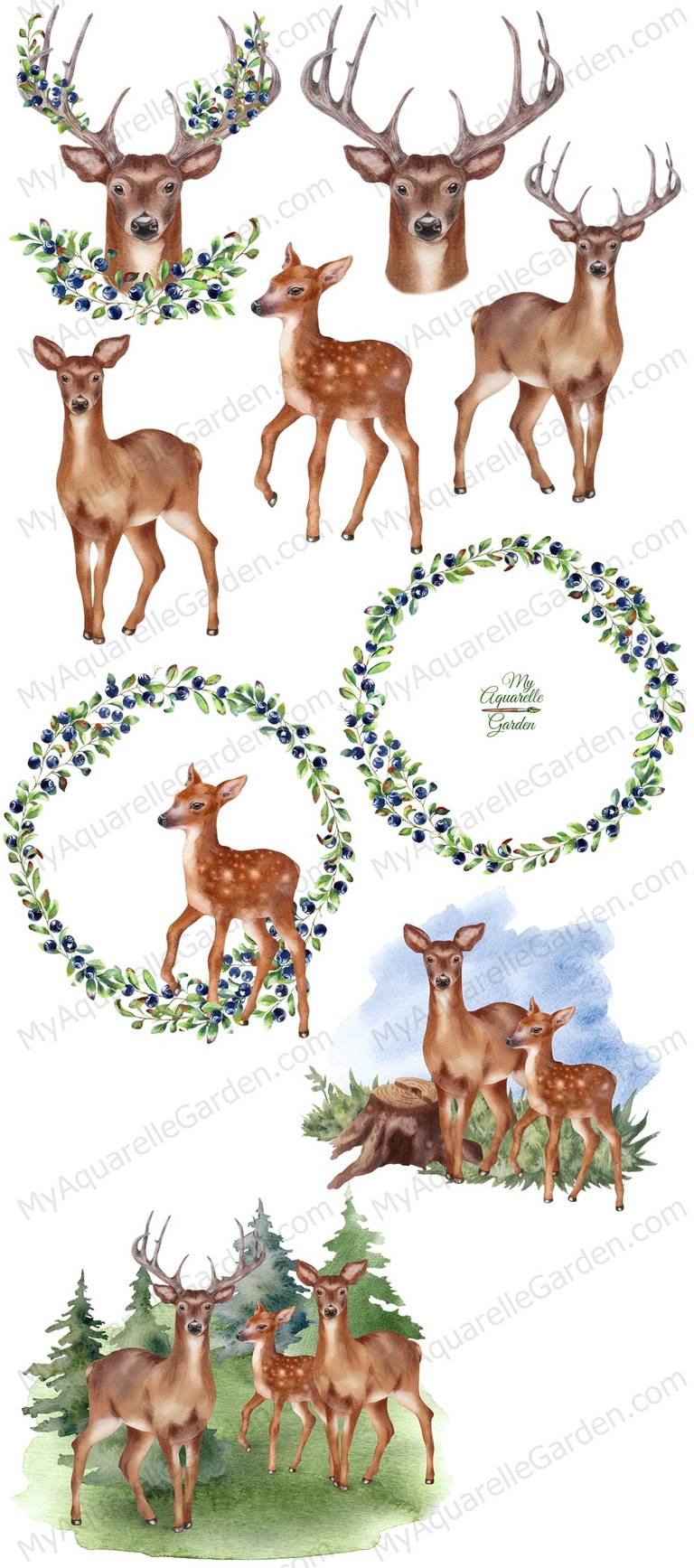 Deer, fawn, fir forest. Blackberries wreaths.