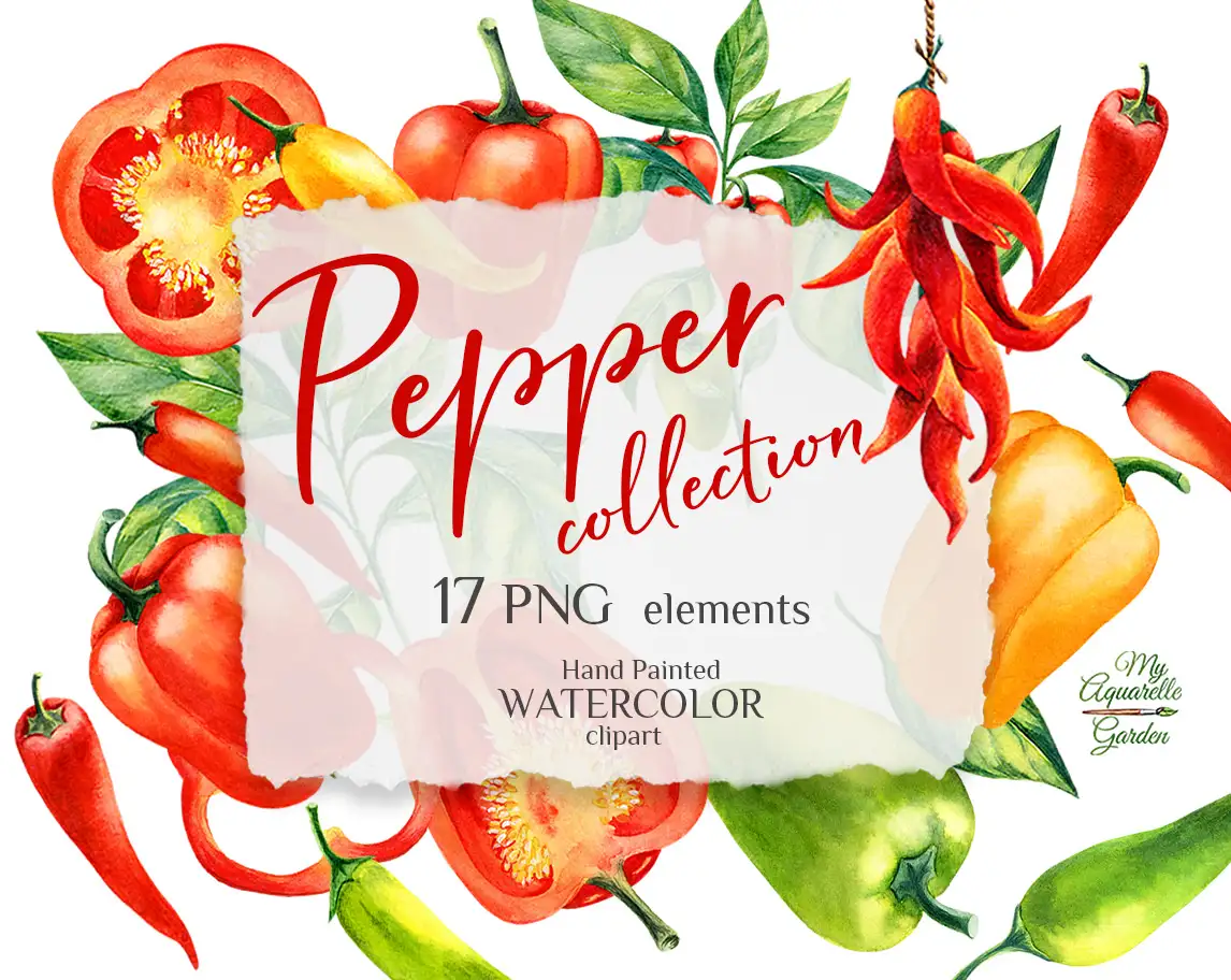 Hot chili and sweet bell peppers. Watercolor hand-painted clipart. Cover.