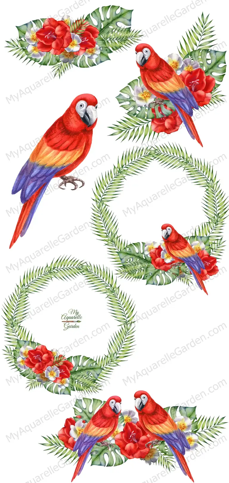 Parrots. Wreaths with tropical flowers and exotic plants. Watercolor-hand-painted clip art.