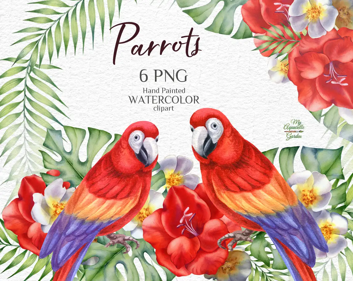Parrots. Wreaths with tropical flowers and exotic plants. Watercolor-hand-painted clip art. Cover.