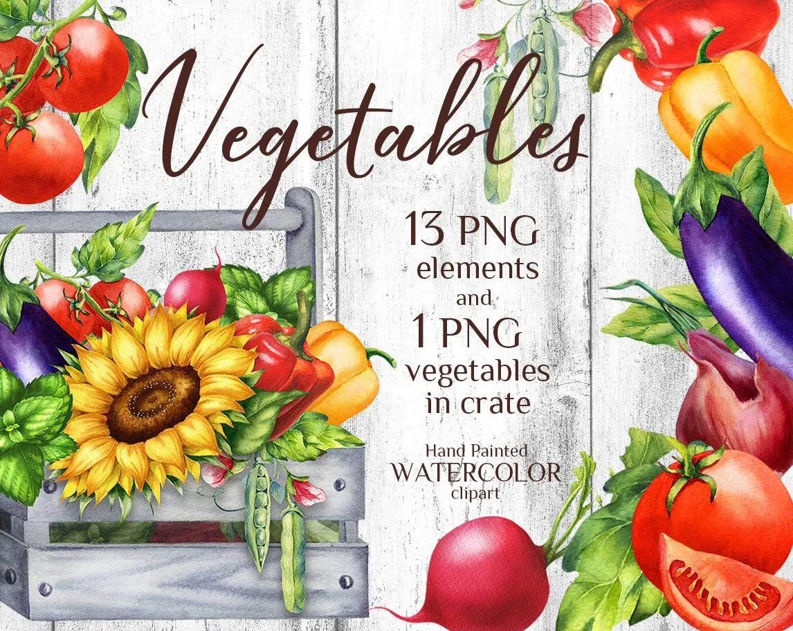 Vegetables. Tomato, onion, pepper, sunflower, pumpkin, radish, zucchini, eggplant. Wooden crate. Watercolor hand-painted clip art. Cover.