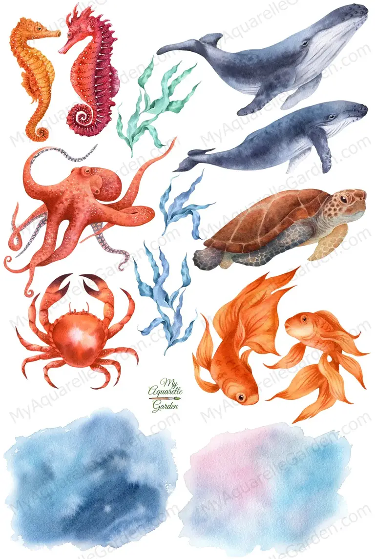 Sea animals. Whales, crab, goldfish, seahorse, turtle, octopus, seagrass. Watercolor hand-painted clip art by MyAquarelleGarden