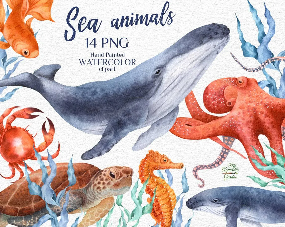 Sea animals. Whale, crab, goldfish, seahorse, turtle, octopus, seagrass. Watercolor hand-painted clip art. Cover.