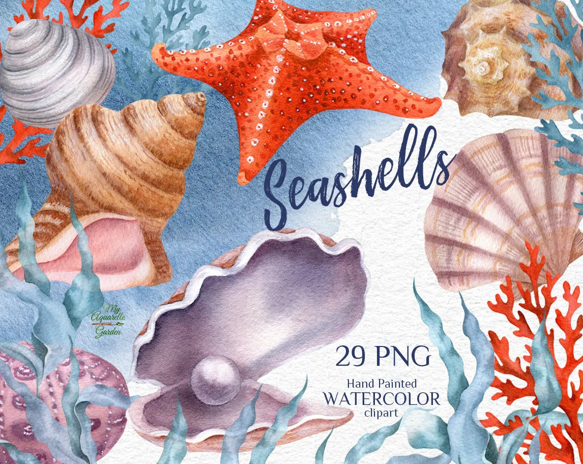 Ocean creatures. Under the sea. Corals, seashells, starfishes, pebbles, seaweed, pearl.Watercolor hand-painted clip art. Watercolor hand-painted clip art. Cover.