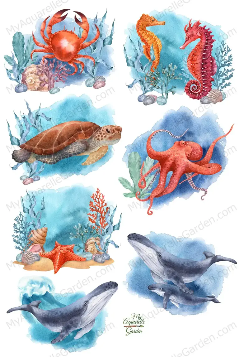 Under the sea. Ocean animals and creatures. Whale, crab, seahorse, sea star, turtle, octopus, pearl clam, seagrass.