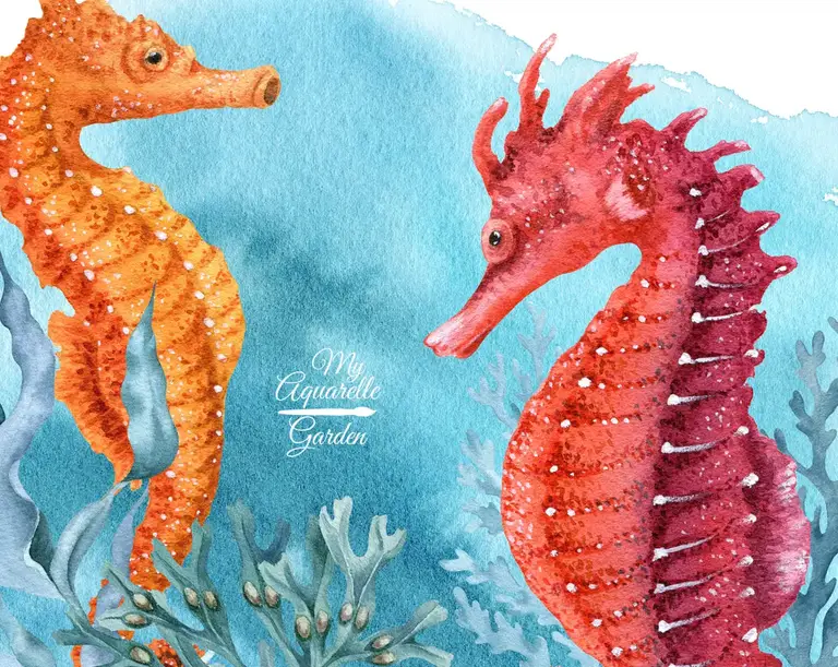 Under the sea. Sea horses. 