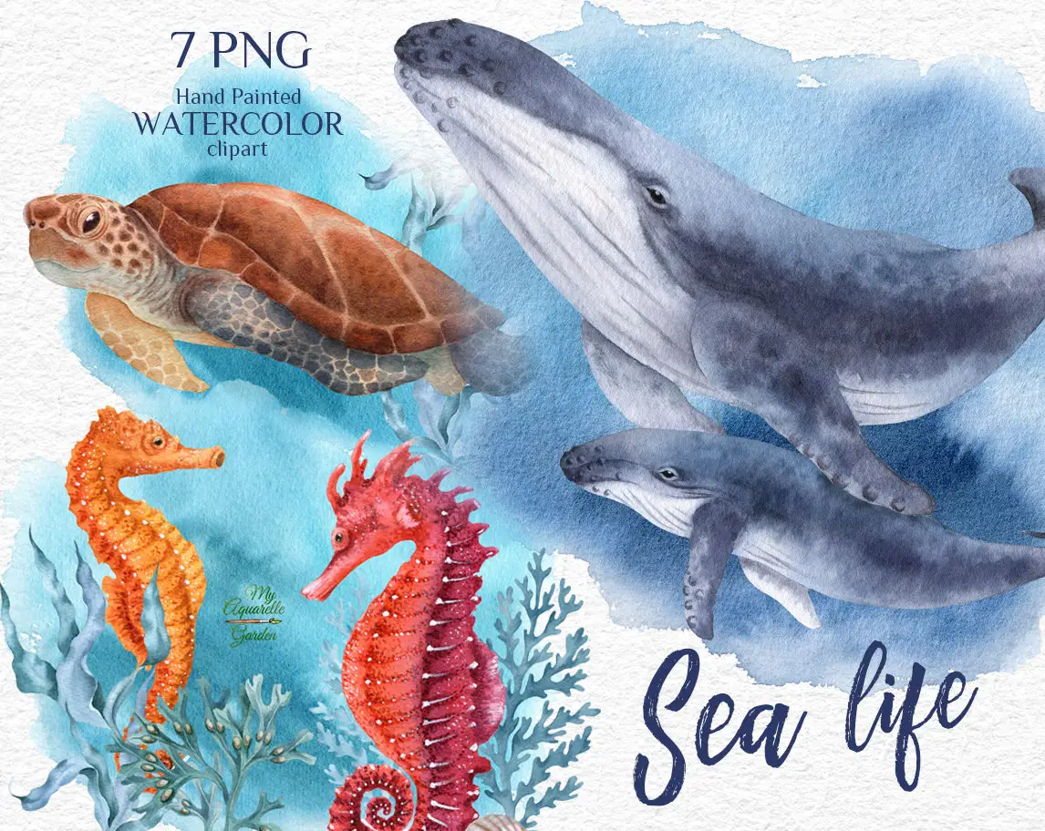 Sea animals and creatures. Whale, crab, seahorse, sea star, turtle, octopus, pearl clam, seagrass.