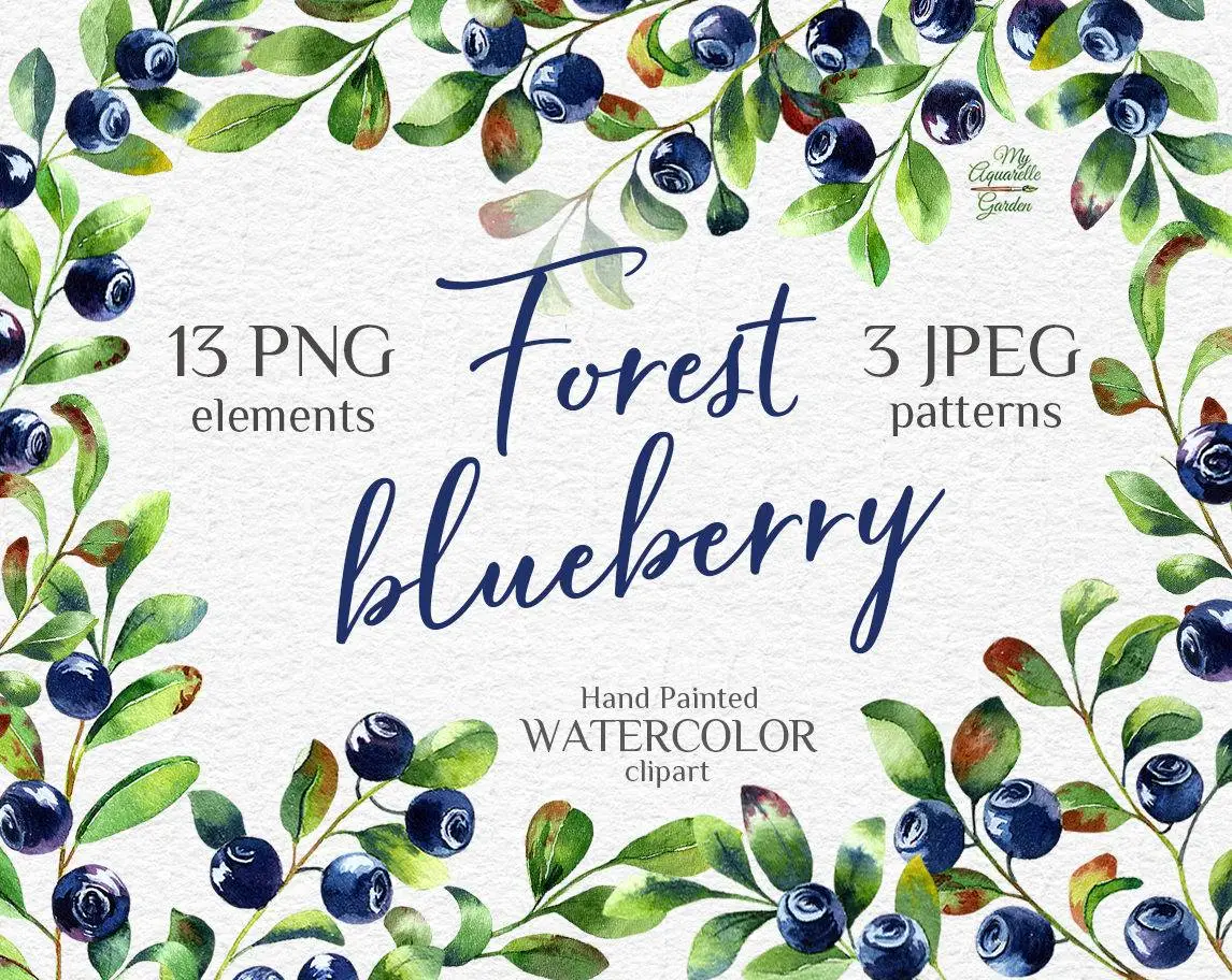 Blueberry Twigs, isolated berries, and leaves. Watercolor hand-painted clipart. Cover.